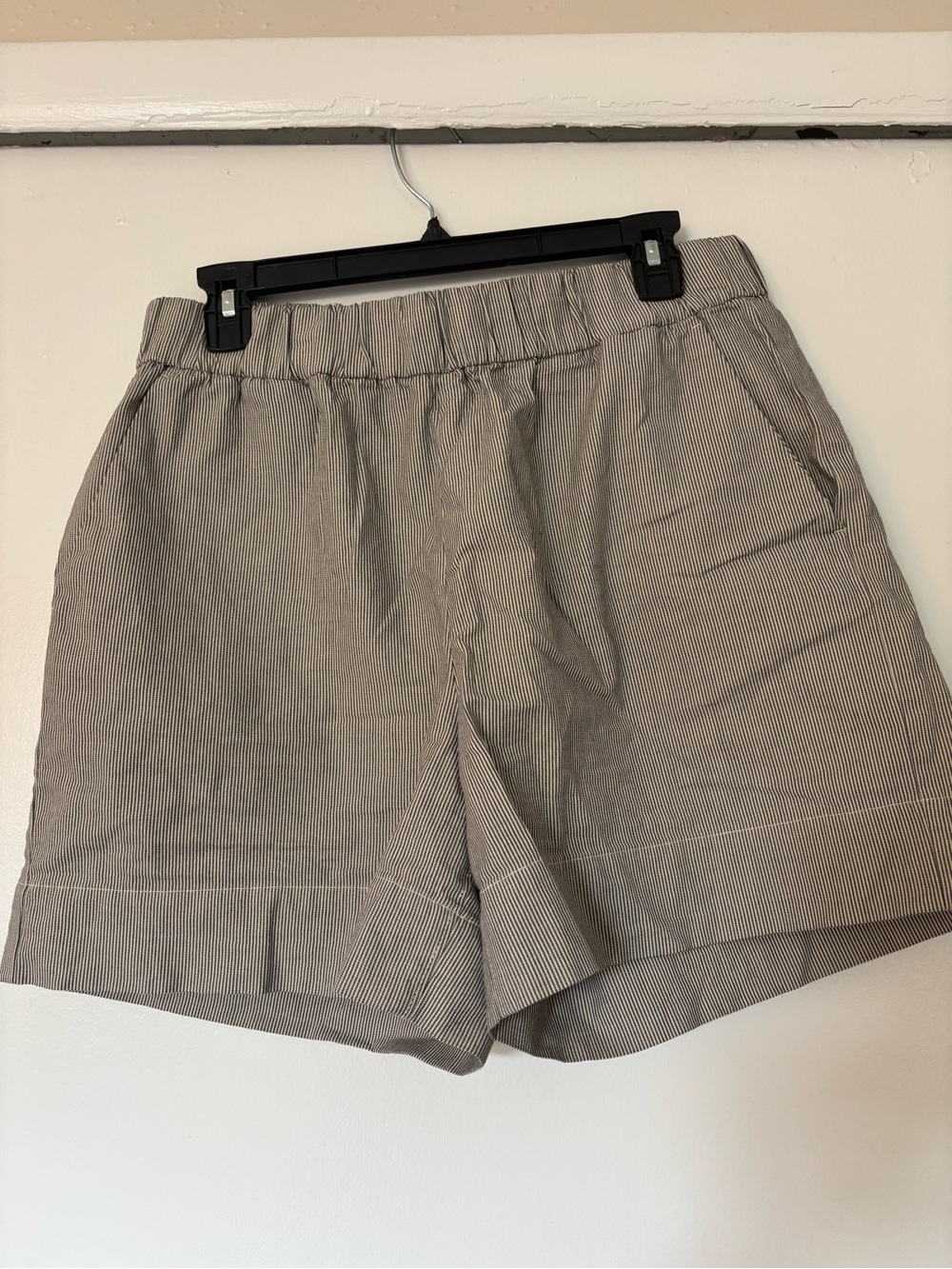Everlane The Easy Short Sz 12